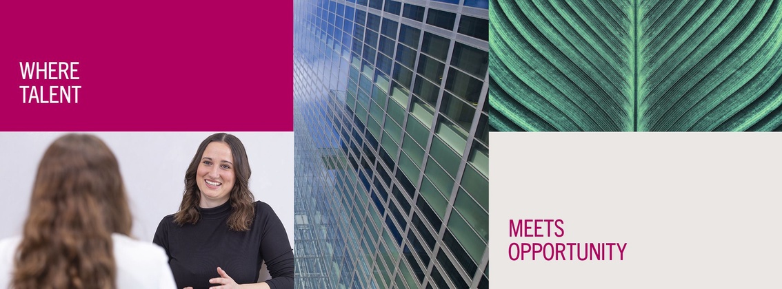 Gipfelstürmer - Das Linklaters Stipendienprogramm background picture