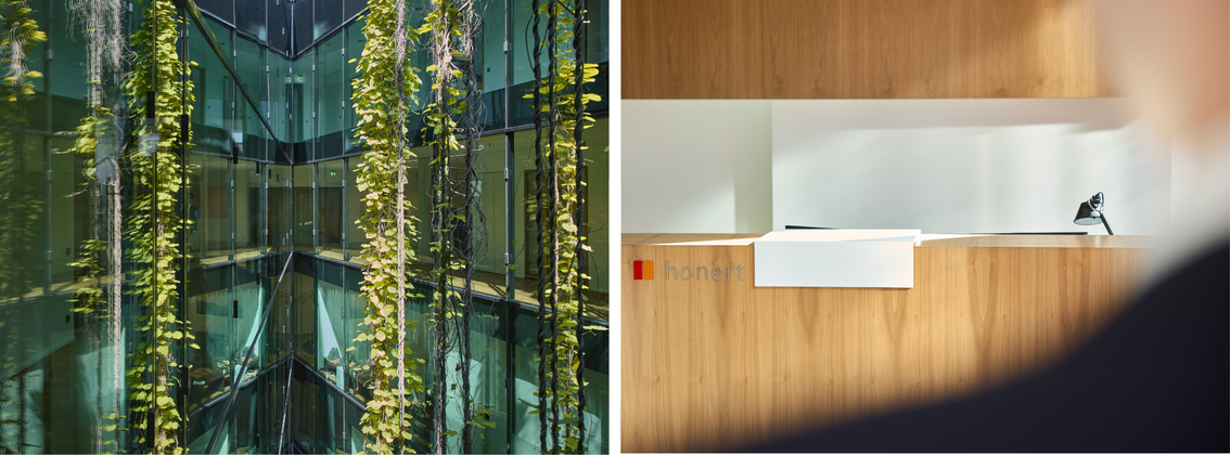 honert background picture