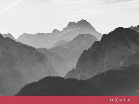 Flex Suisse background picture