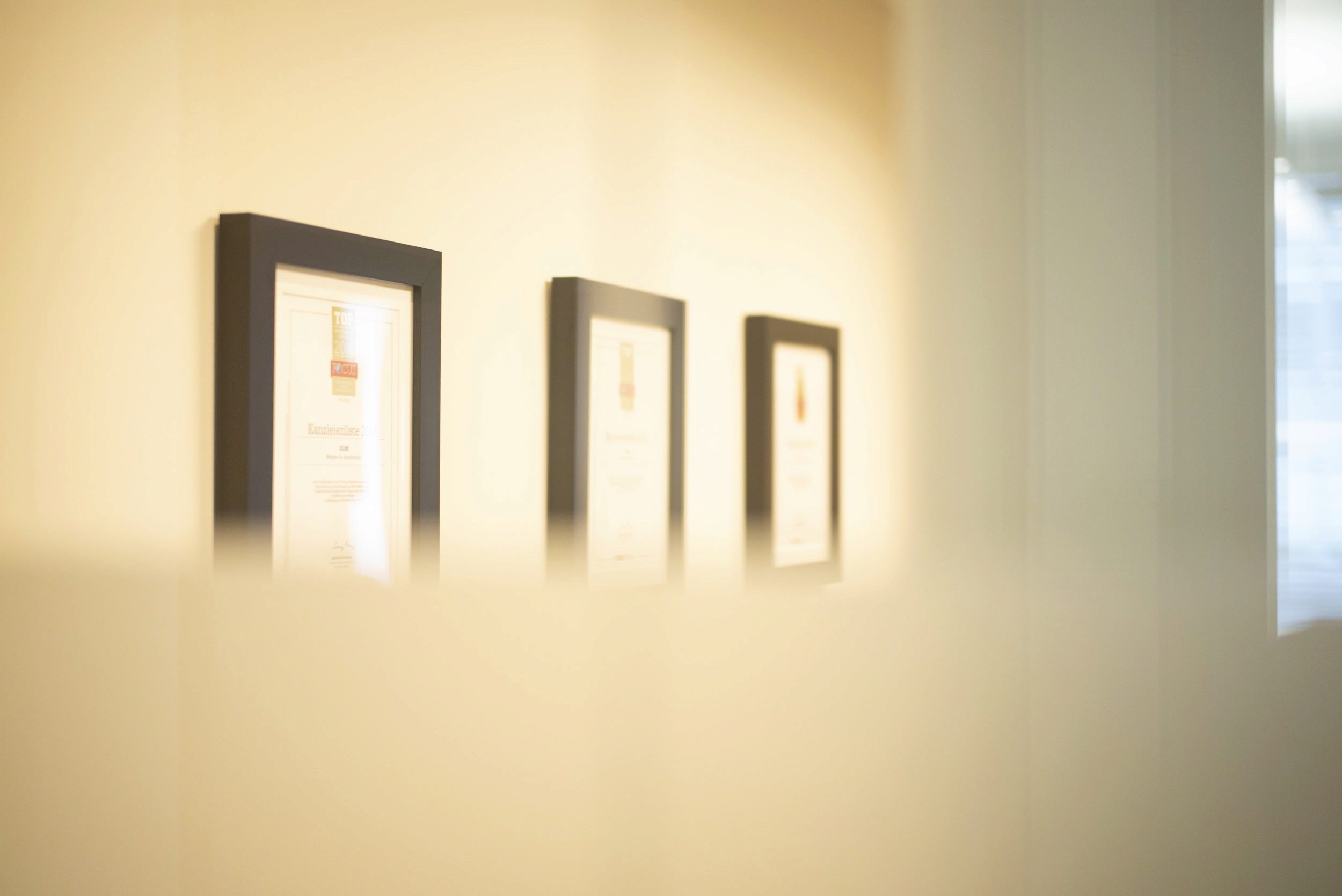 Gallery Item Image