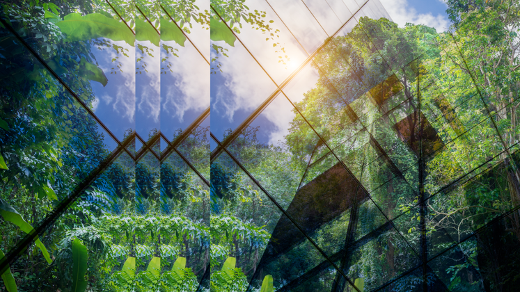 Workshop "Grüner Wasserstoff im Praxiseinsatz" background picture