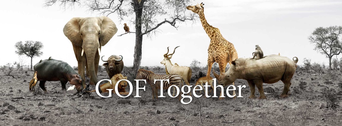 GOF Together background picture