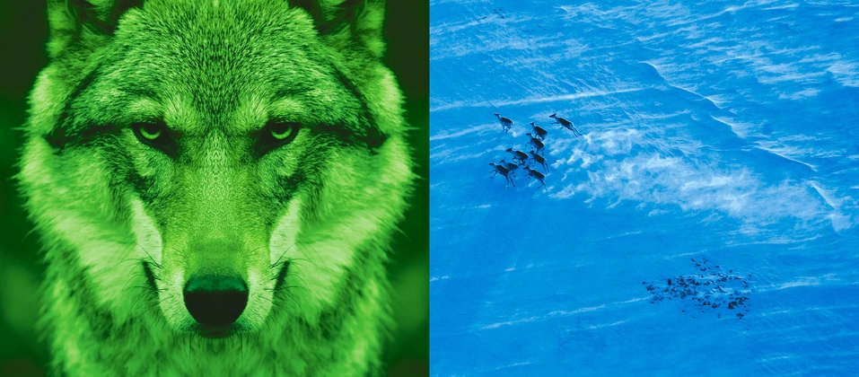 Rechtsanwalt (m/w/d) Gesellschaftsrecht background picture