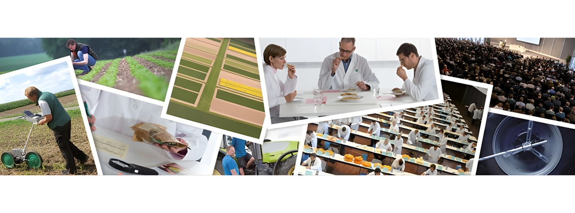 Jurist / Volljurist (w/m/d) Datenschutz, Compliance & Arbeitsrecht background picture