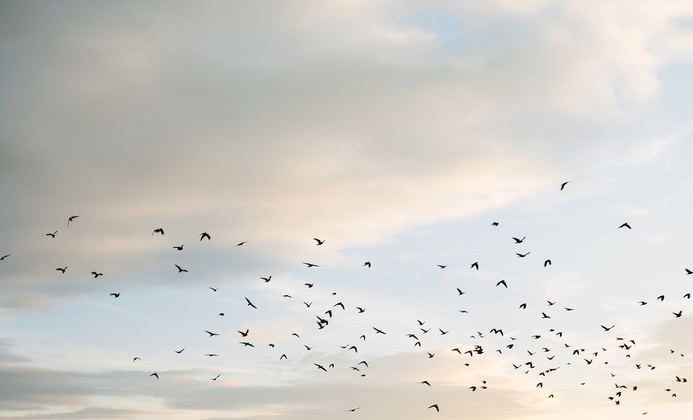 Wissenschaftliche Mitarbeiter (m/w/d) Gesellschaftsrecht background picture