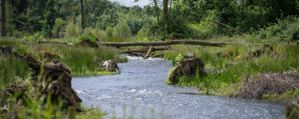 Volljurist/in (m/w/d) background picture